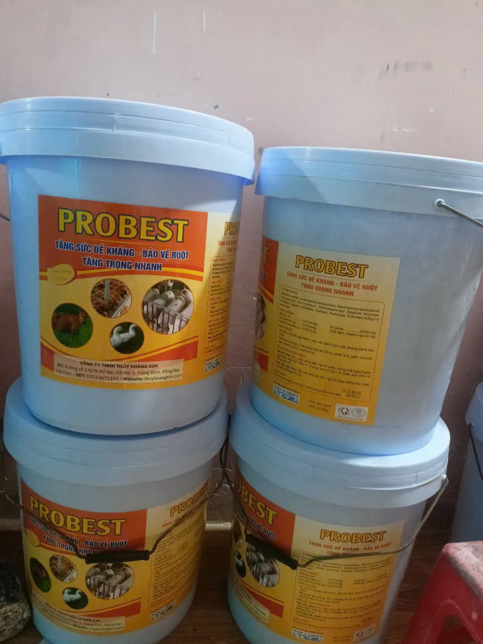PROBEST
