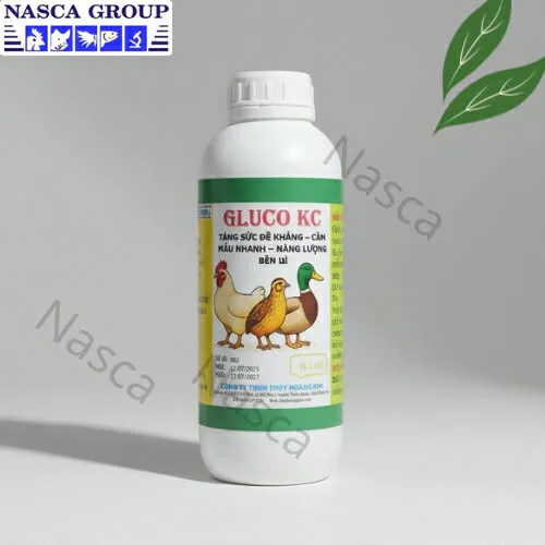 GLUCO KC – Tăng Sức Đề Kháng & Cầm Máu Nhanh Cho Gia Súc Gia Cầm