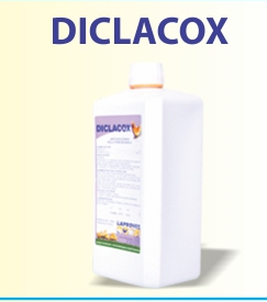 DICLACOX DICLACOX